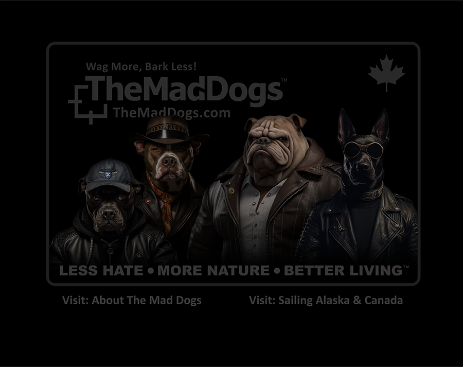 Welcome to The Mad Dogs!