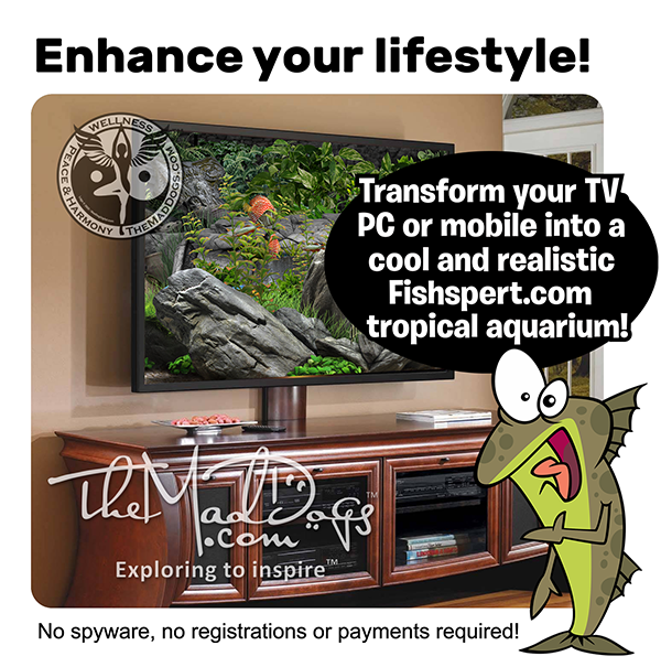Download our free aquariums.